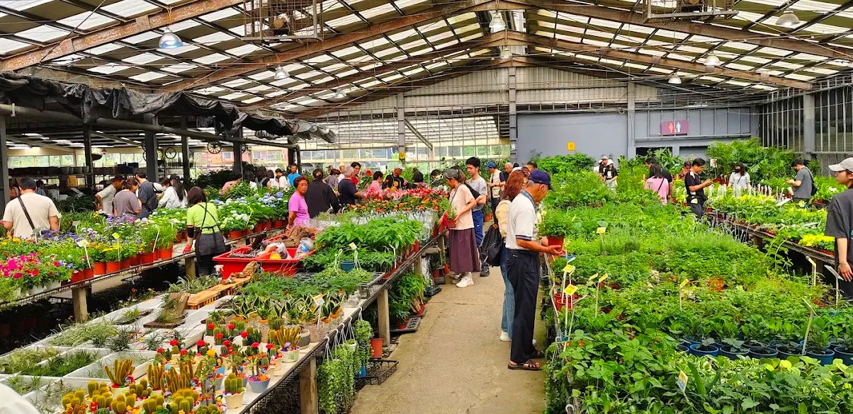 桃園賞花輕旅行：在大溪天御花園沉浸自然之美