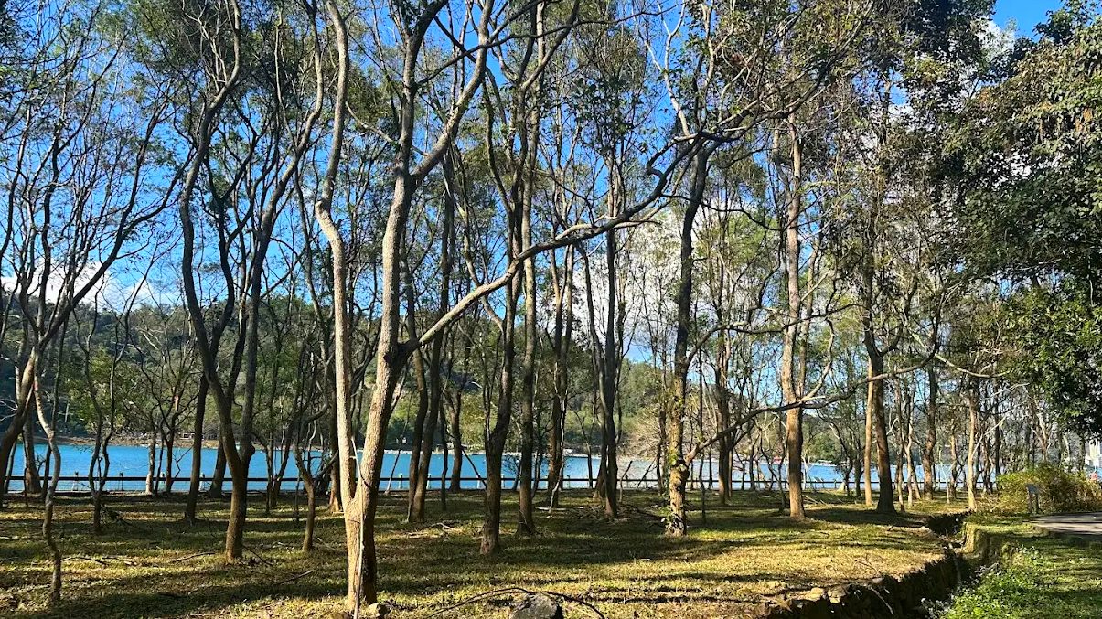 南投景點的精彩探索：發現月牙灣、水社碼頭、能高瀑布等必訪之處