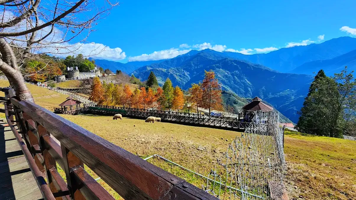 清境農場住宿推薦｜觀星賞雲海，住進山巒間的夢幻假期