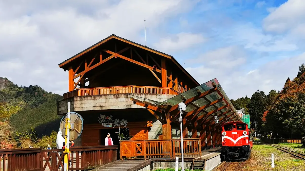 探索阿里山五大絕美步道｜日出、雲海、古道與森林風光一次滿足