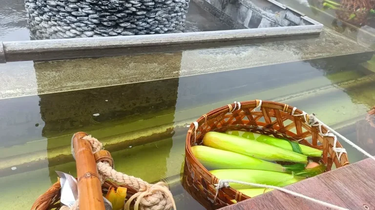探索清水地熱公園：一個讓你享受天然熱水的完美去處