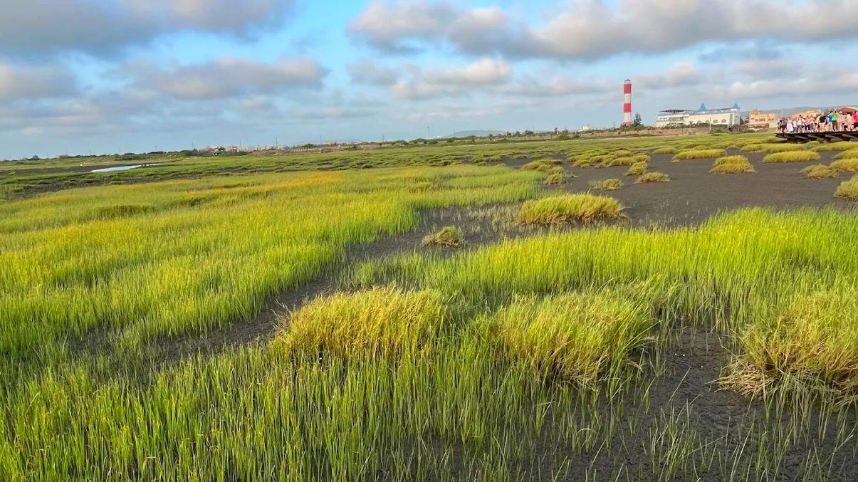 高美濕地木棧道：探索最美夕陽景點的全方位指南
