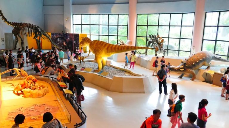 探索台中科博館：完美親子旅遊的自然歷史博物館