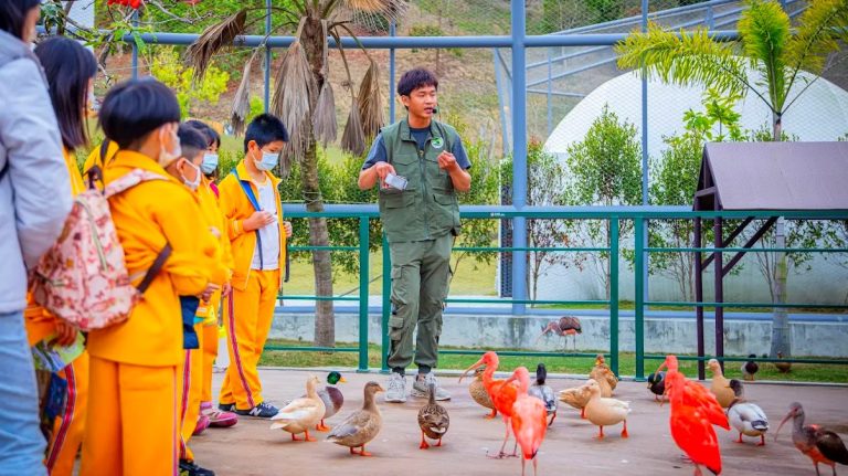 發現九九峰動物樂園：遊客必知的亮點