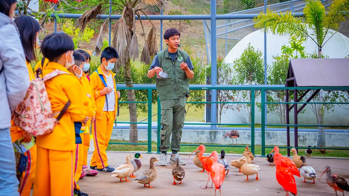 發現九九峰動物樂園：遊客必知的亮點