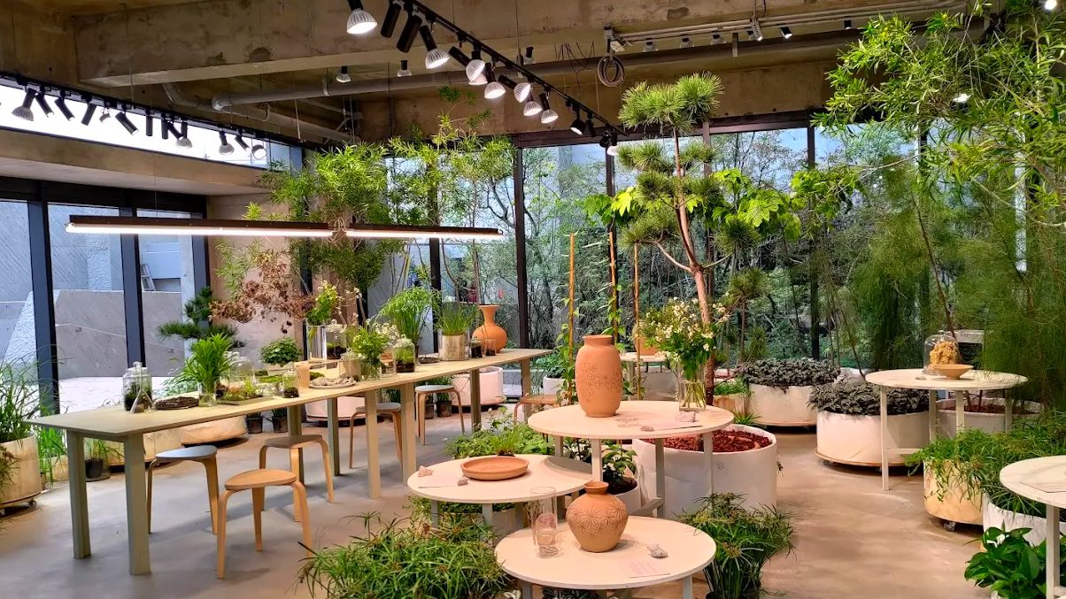 美術館探索之旅｜藝術與自然的完美結合