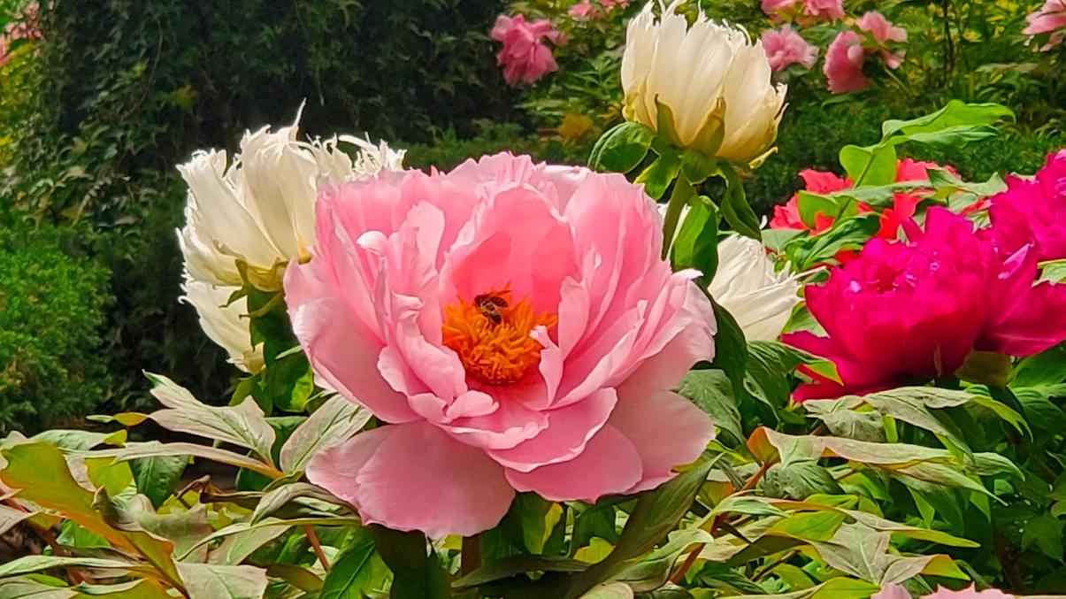 杉林溪森林遊樂園探索｜好玩又療癒的自然之旅