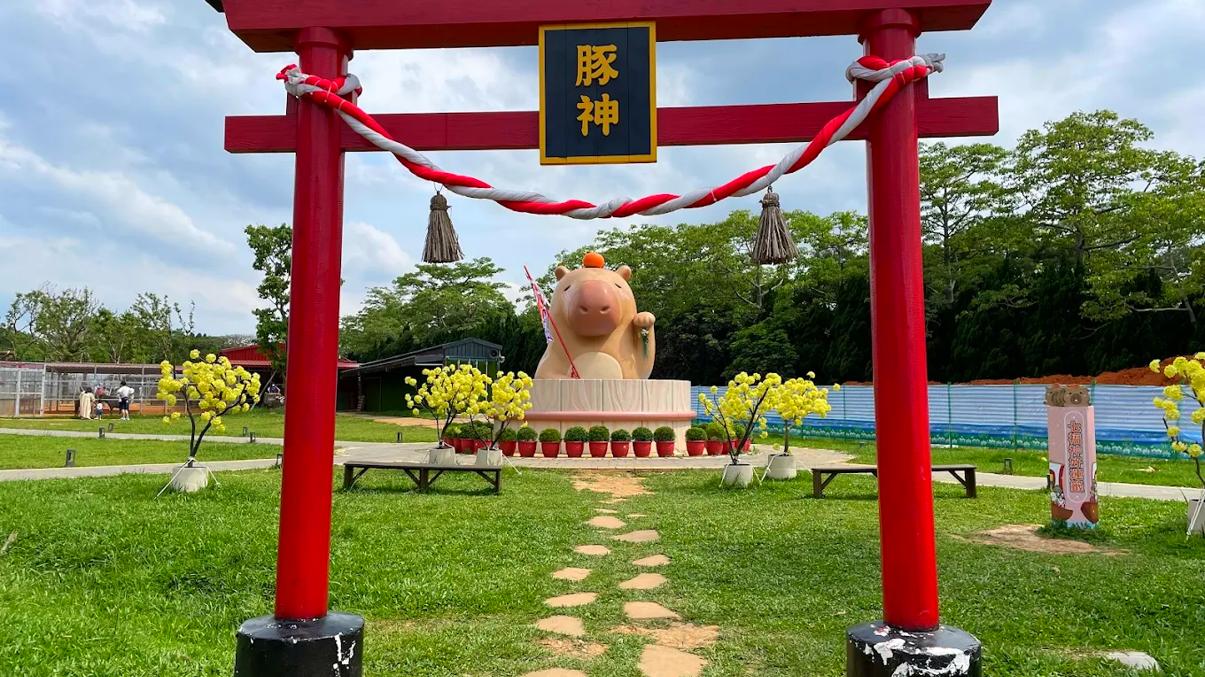 埔心牧場：親子互動與自然體驗的最佳去處