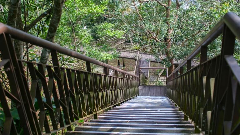 探索知本森林遊樂區：台東山林秘境、美食與文化一次體驗！