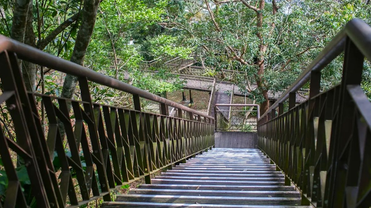 探索知本森林遊樂區：台東山林秘境、美食與文化一次體驗！