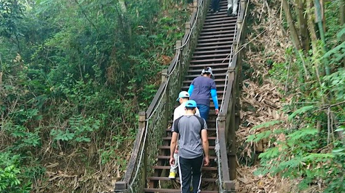 台中爬山：探索大坑登山步道的魅力