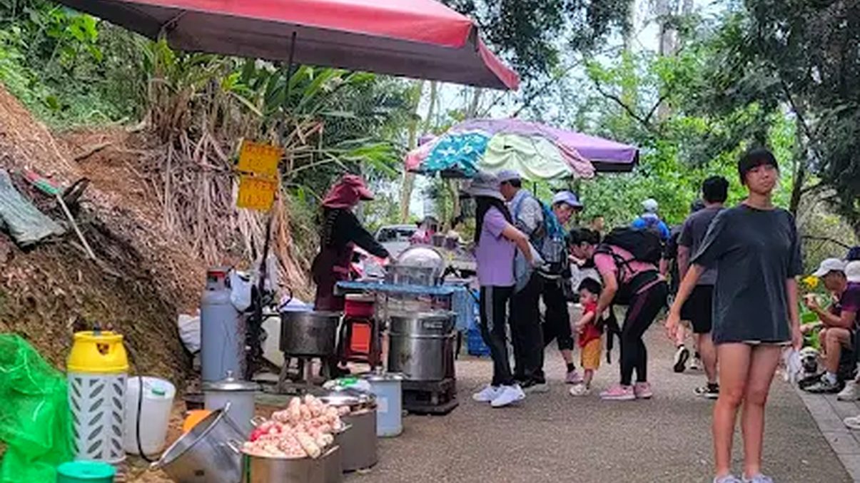 台中爬山：探索大坑登山步道的魅力