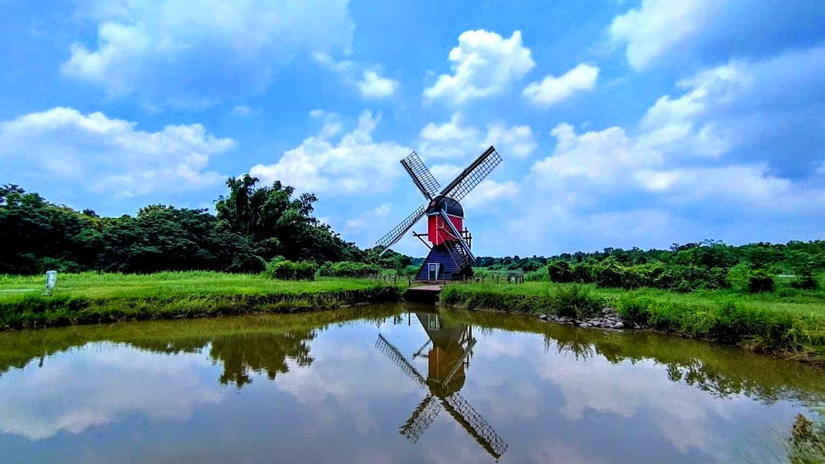 荷蘭原裝風車與草地全景