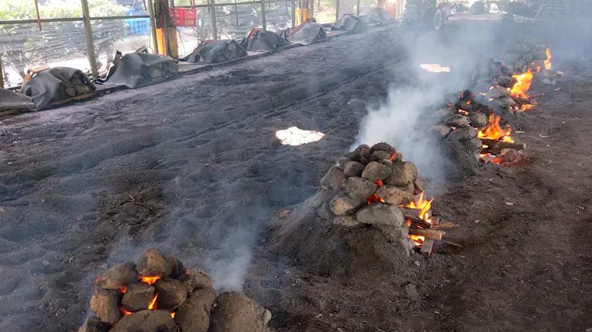 中部牧場DIY體驗：探索農場樂趣與親子互動