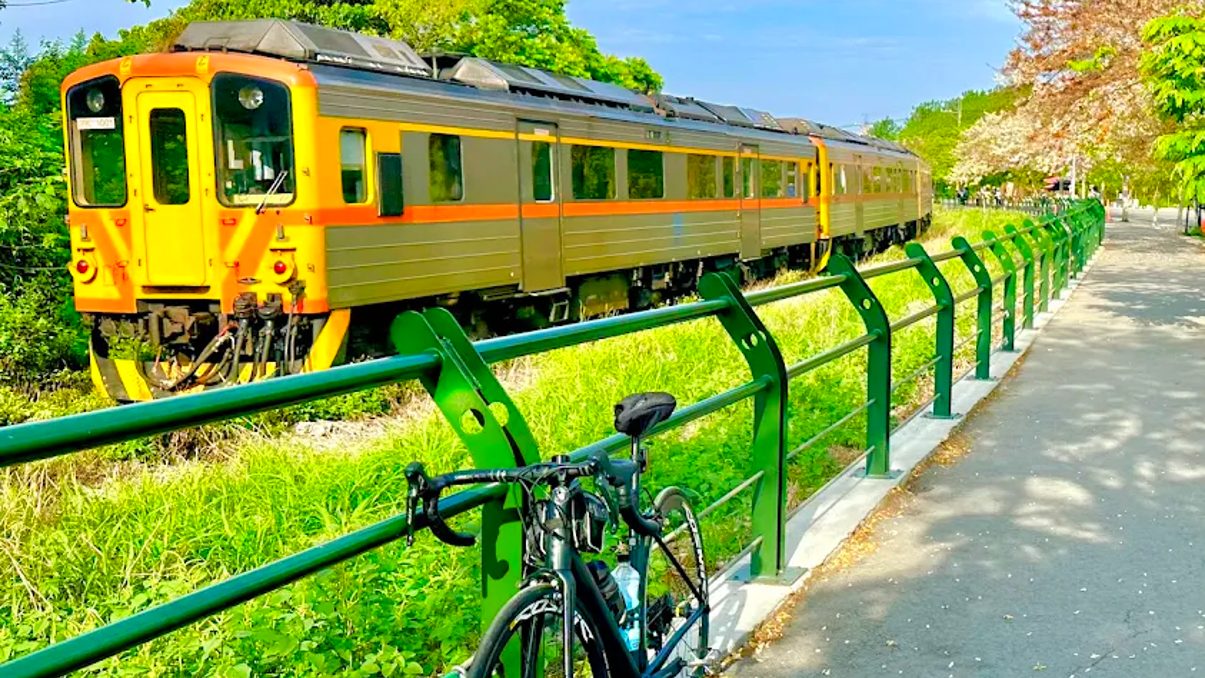 探索二水花旗木鐵道的魅力與特色