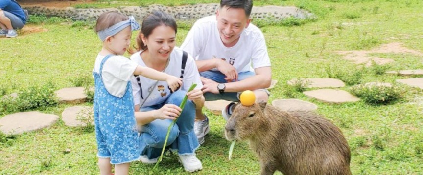 TwL_news_experince_23H26_HV4cxlGztP