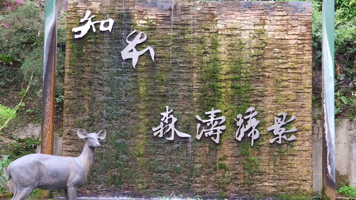 探險知本國家森林遊樂區｜自然美景與體驗攻略