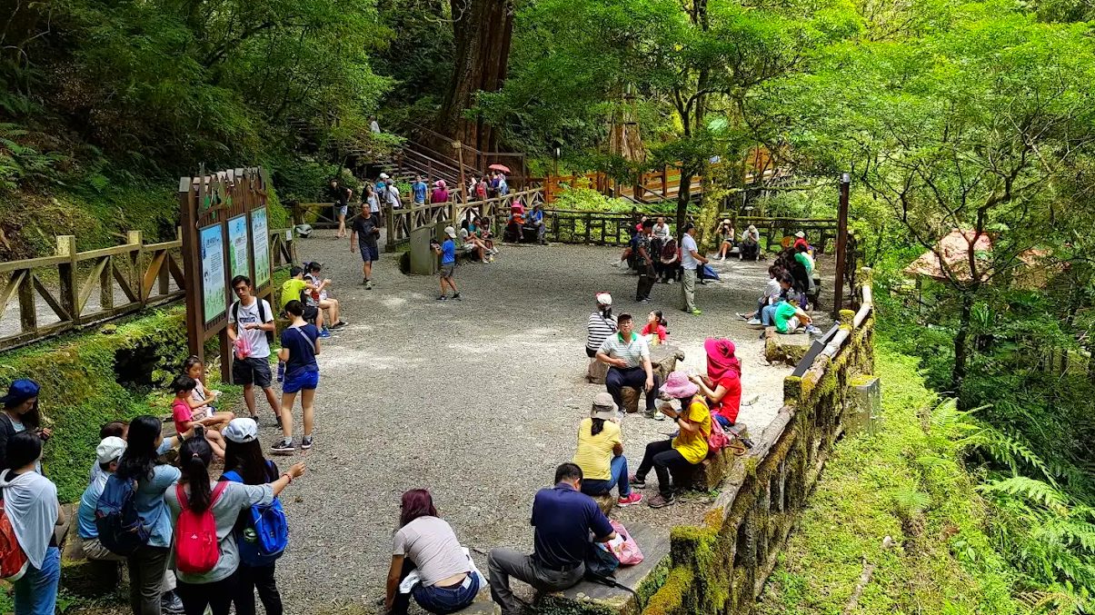 拉拉山國家森林遊樂區的旅遊推薦與實用指南