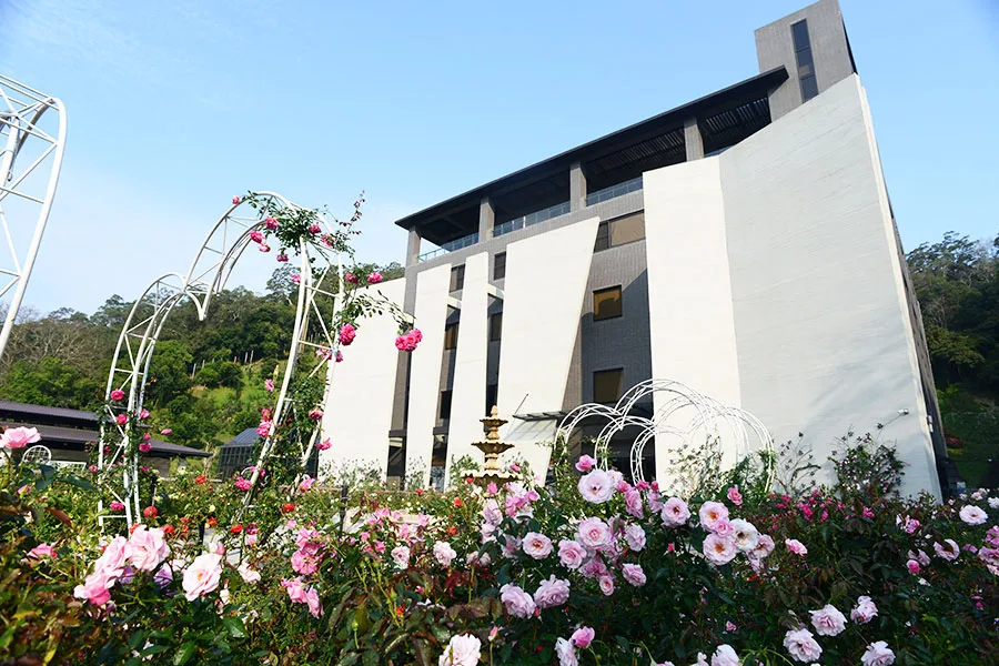 苗栗花園秘境｜雅聞七里香玫瑰森林：玫瑰花海、香氛DIY、情侶親子必訪拍照點