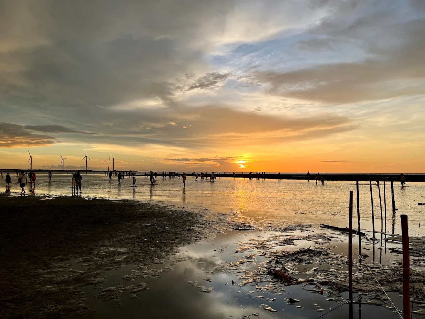 探訪高美濕地木棧道：完美夕陽與生態之旅