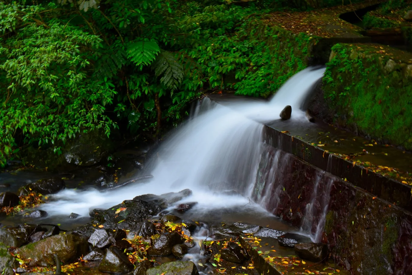 陽明山荷蘭古道攻略｜步道資訊、觀景台、交通與美食推薦，一次搞懂！