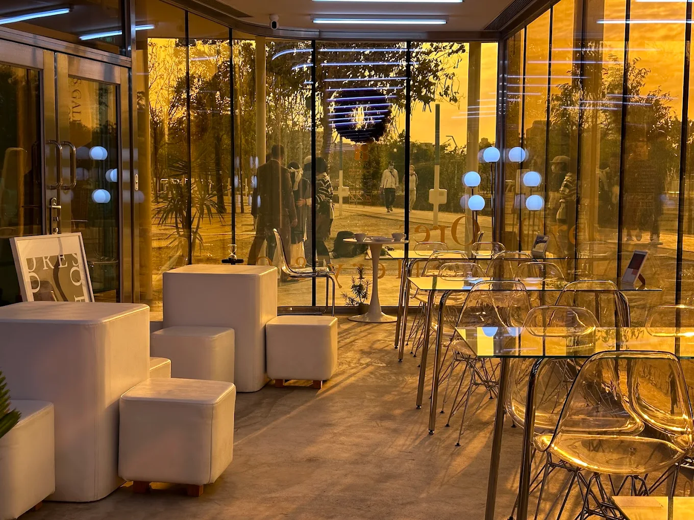 台中中央公園玩樂全攻略｜親子遊、溜狗、健身的最佳去處