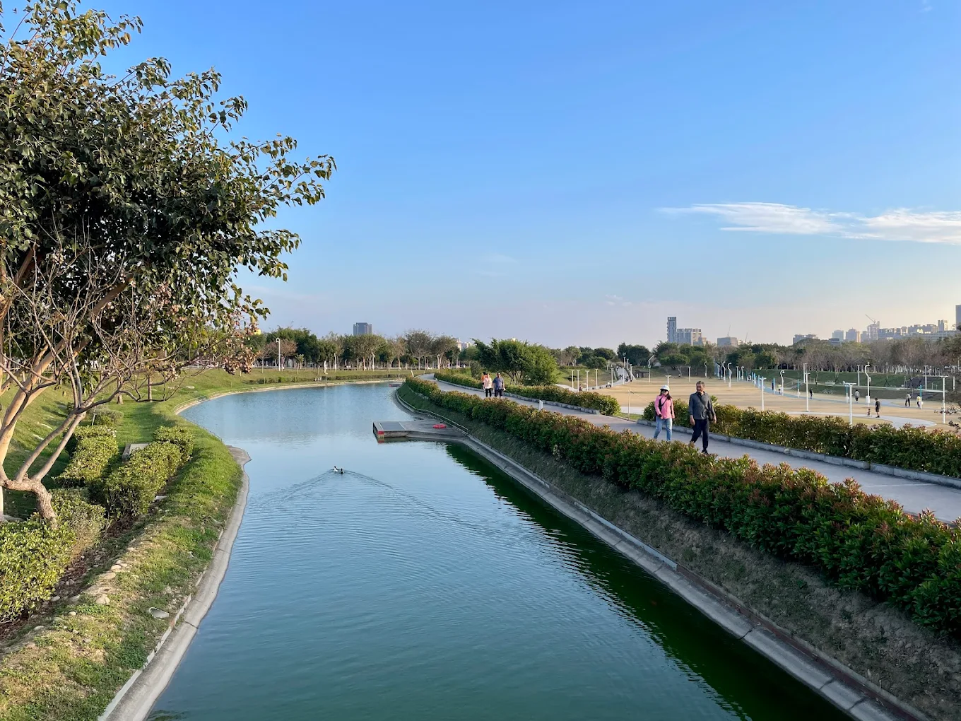 台中中央公園玩樂全攻略｜親子遊、溜狗、健身的最佳去處
