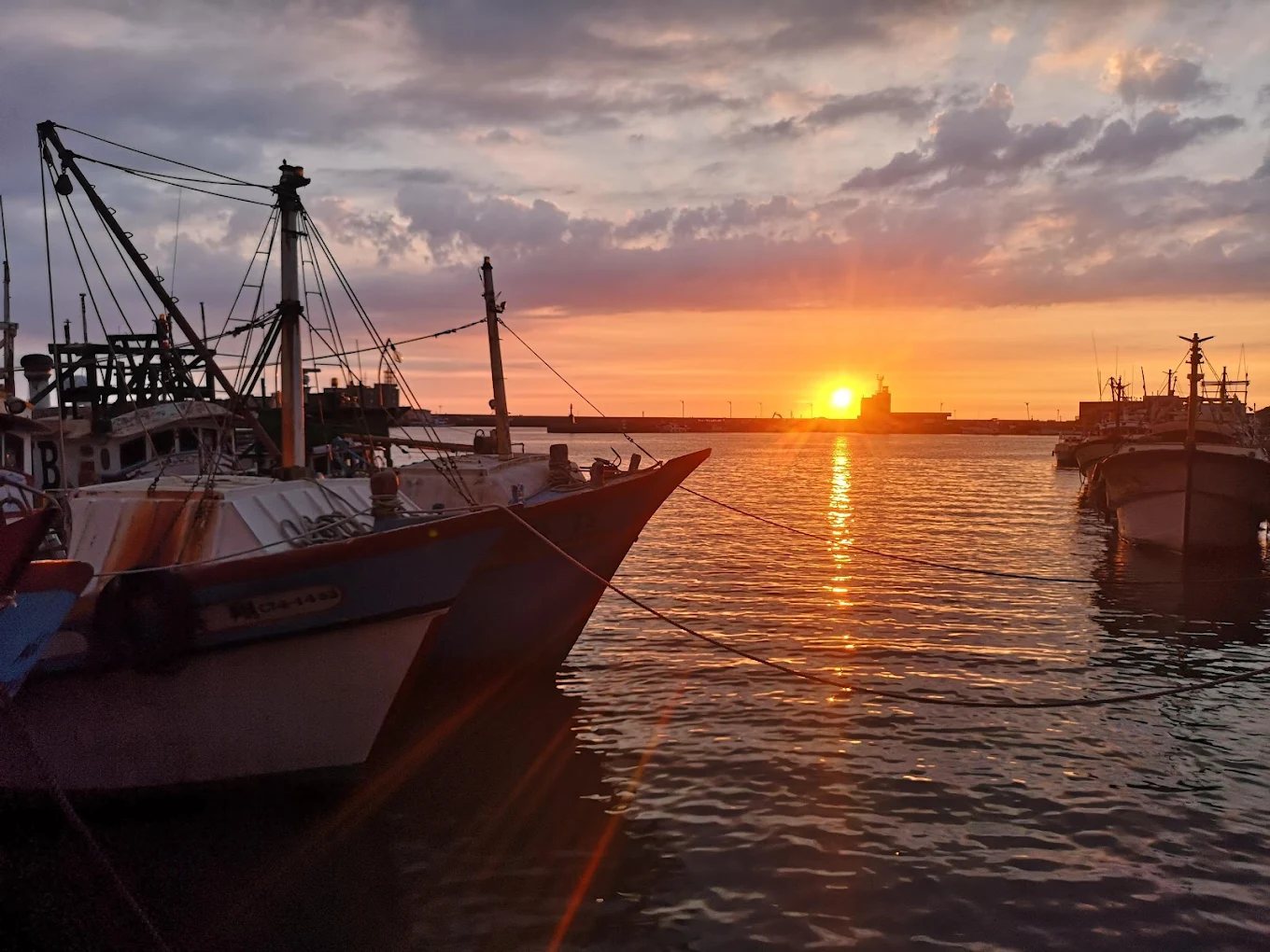 南寮漁港探索｜最具魅力的海鮮美食與休閒活動