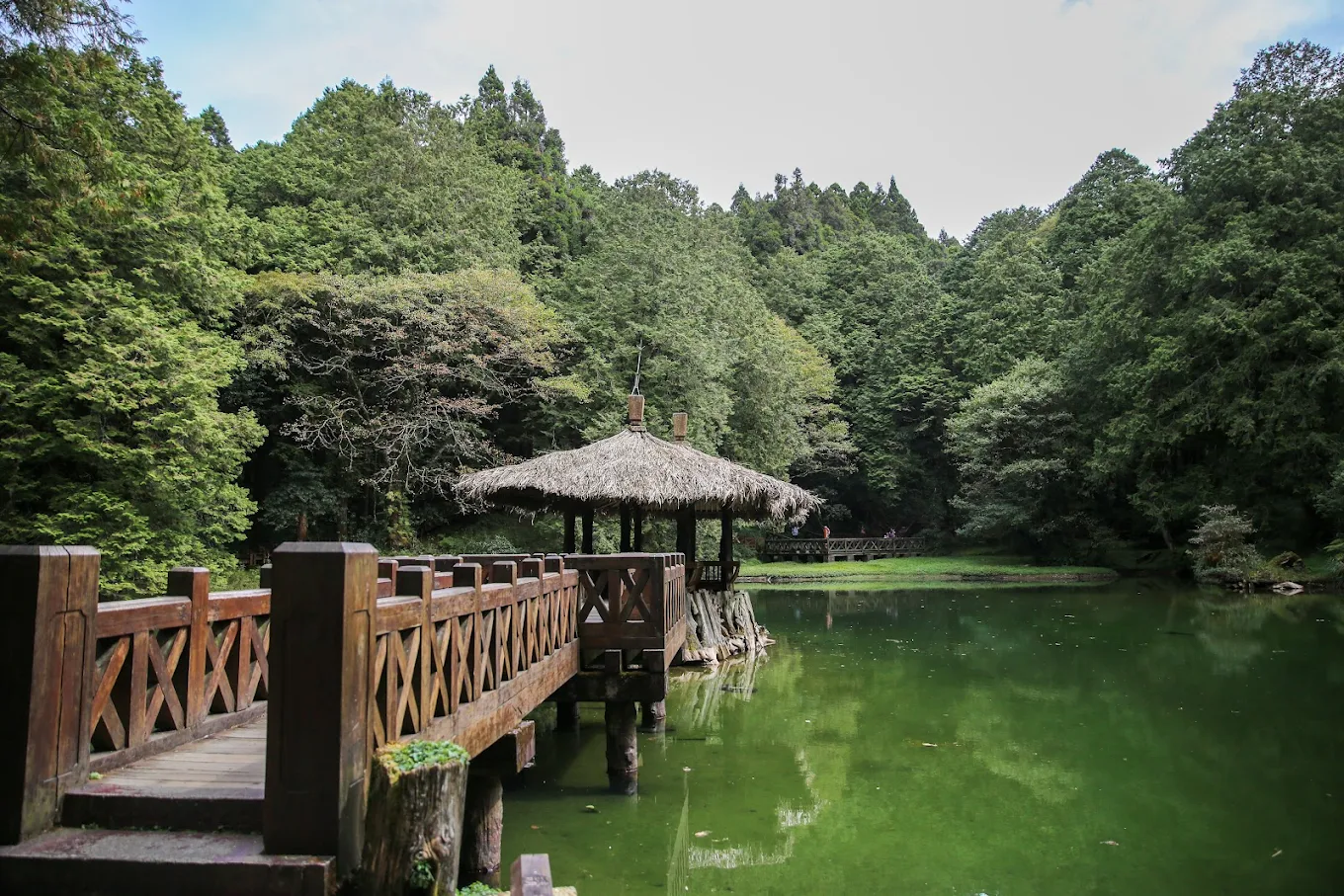 深入探訪阿里山森林遊樂區：全方位旅遊指南