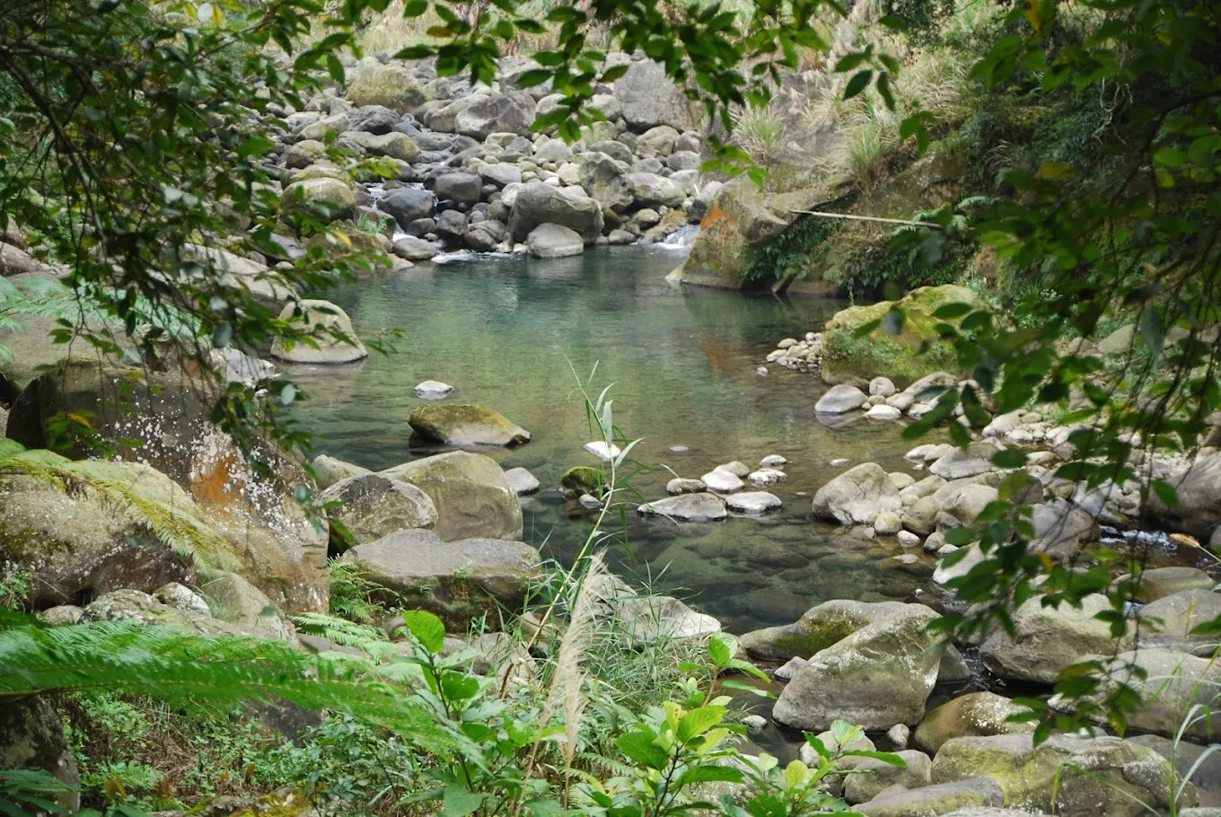蓬萊溪護魚步道｜探索美麗自然及親子活動的最佳去處