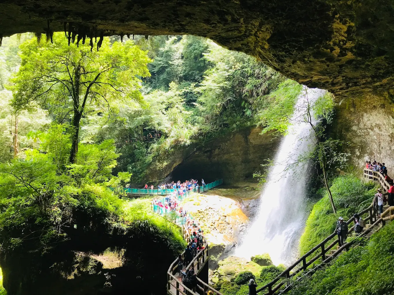 杉林溪花季旅遊全攻略｜賞花、健行、美食一次打包