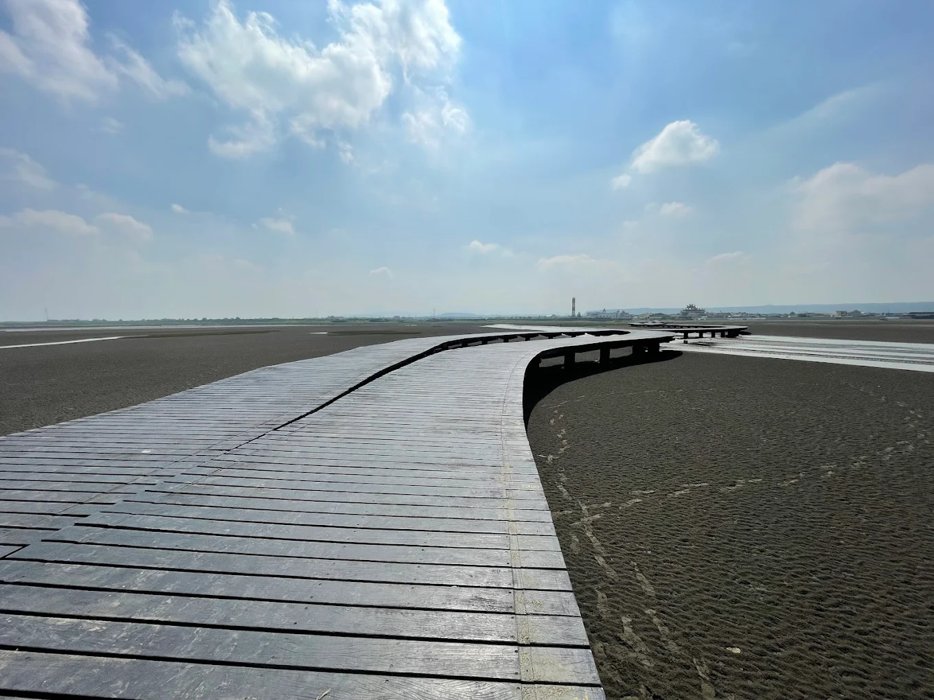 高美濕地候鳥生態觀察指南：最佳賞鳥地點與秘訣