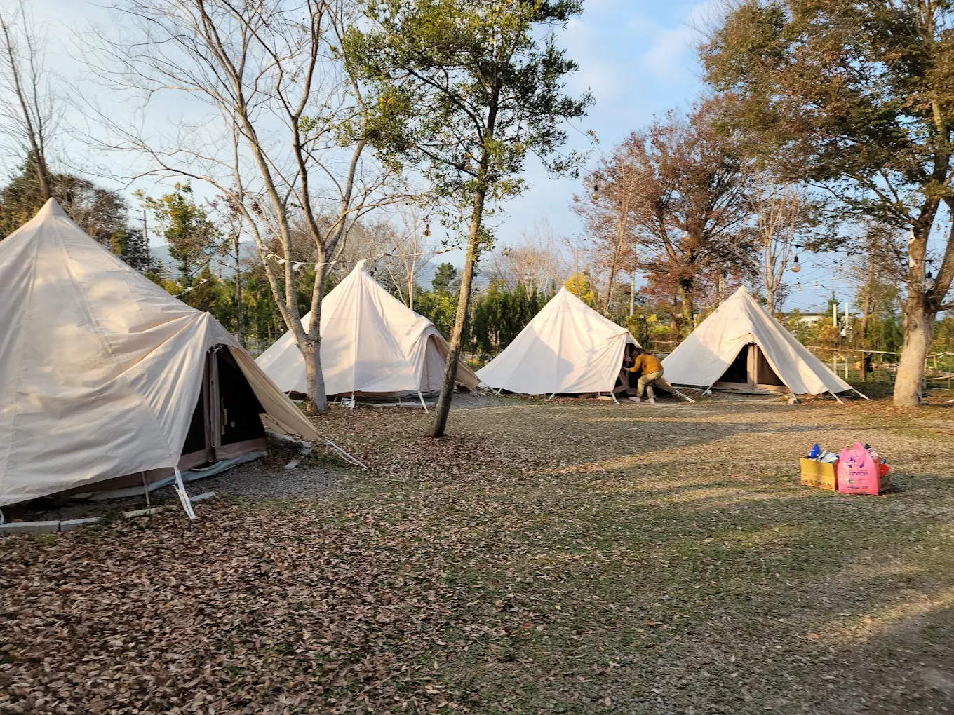 自然圈農場 LOFI LAND｜沉浸自然風光、美食與體驗的療癒綠洲