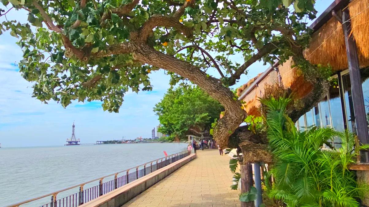 淡水老街旅遊全攻略｜歷史、風景與美食一次滿足