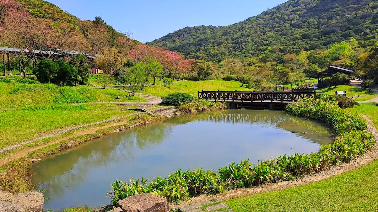 陽明山國家公園旅遊全攻略｜火山地景、四季風光與在地美食一次體驗