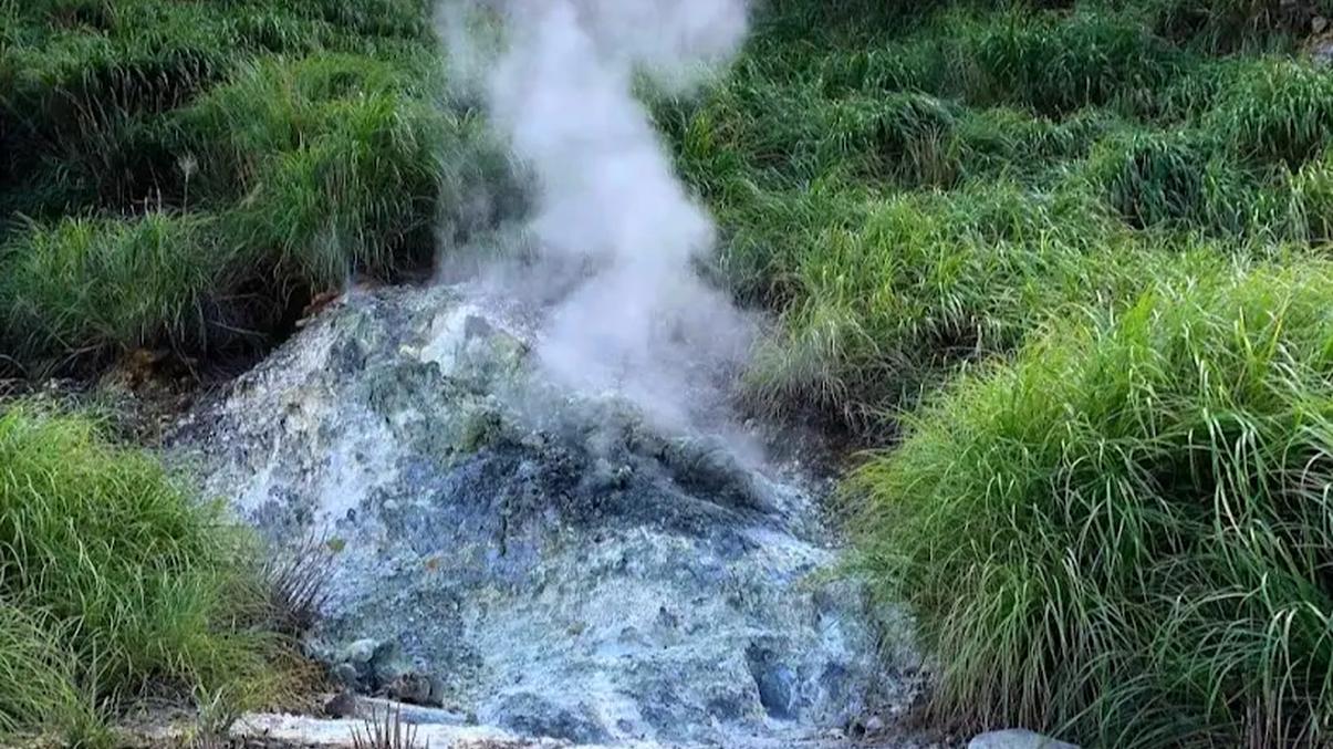 陽明山國家公園的秘境探索：不容錯過的景點