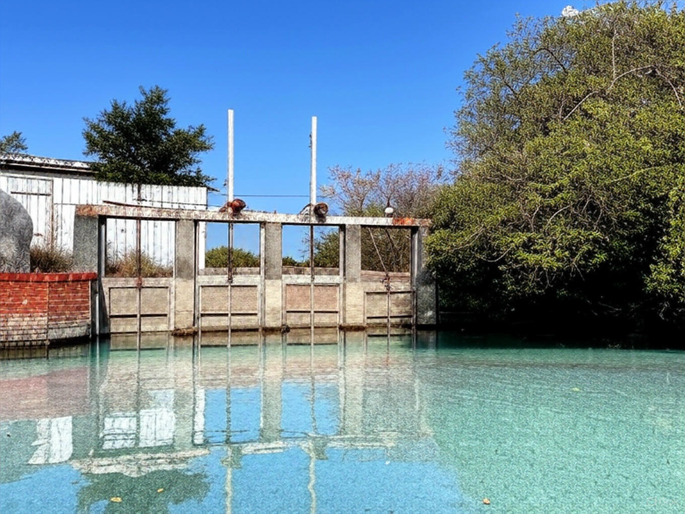 台南景點推薦｜探索神農街、四草綠色隧道等隱藏版美景