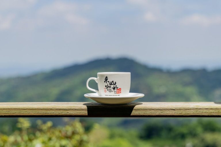 探索台南東山｜5大必訪景點讓你靜享自然之美
