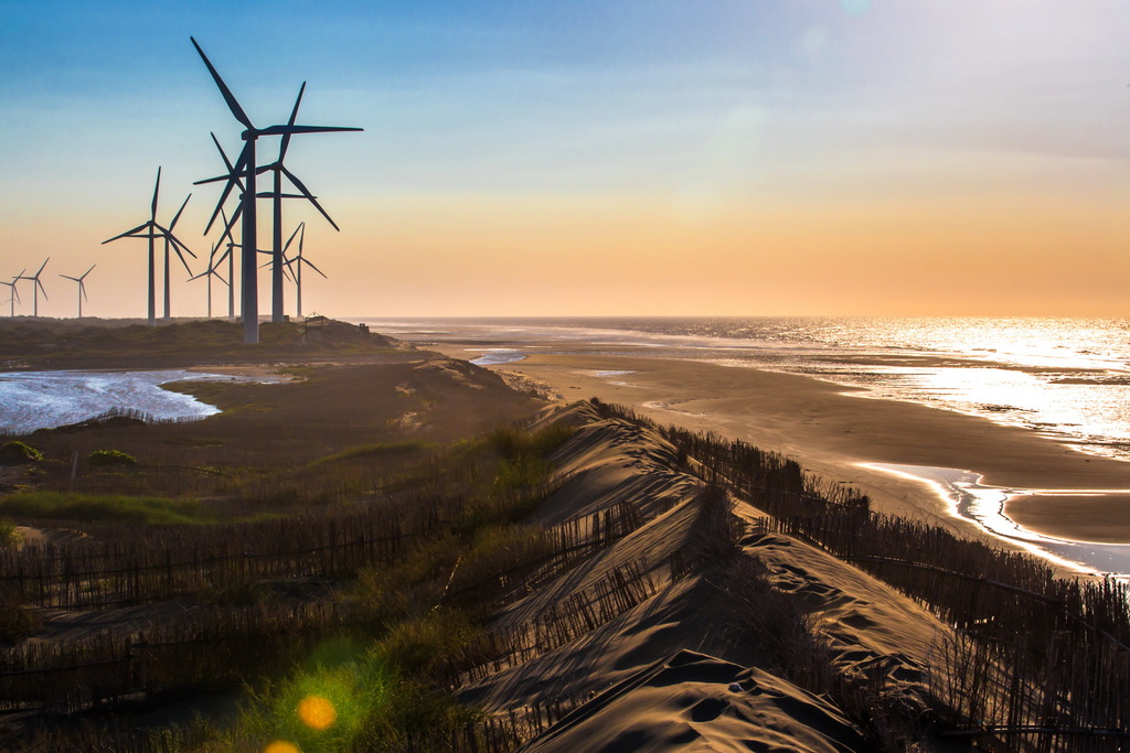 觀音草漯沙丘的美麗秘境｜親子旅遊的理想選擇