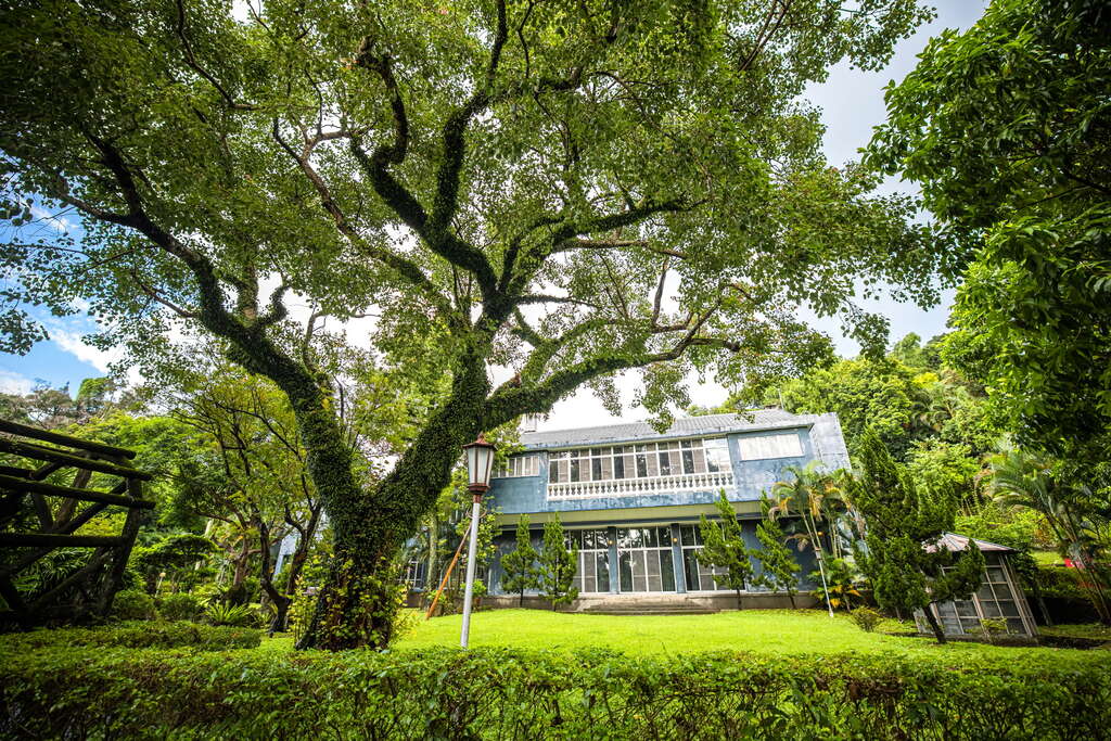 士林官邸之美：如何好好享受這座歷史園區的每一刻？