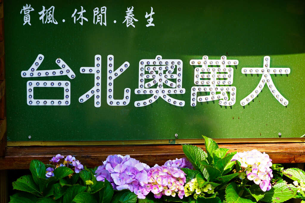 探索台北奧萬大 賞楓季的最佳去處