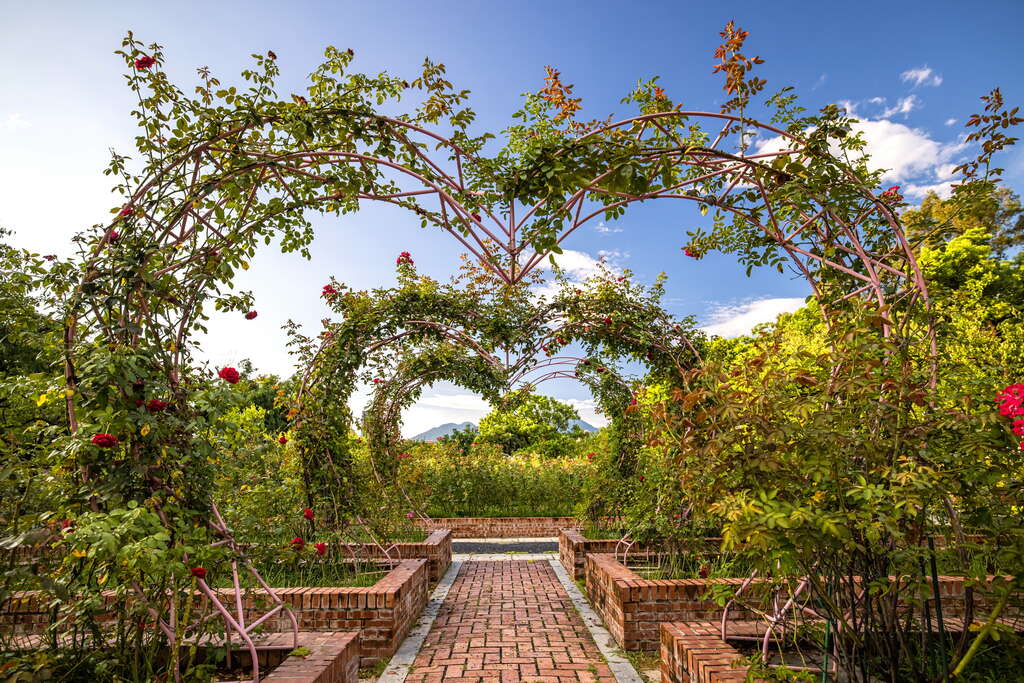 士林官邸之美:如何好好享受這座歷史園區的每一刻?