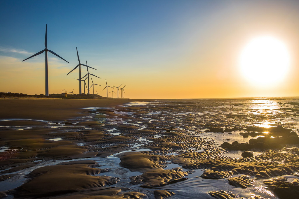 觀音草漯沙丘的美麗秘境｜親子旅遊的理想選擇