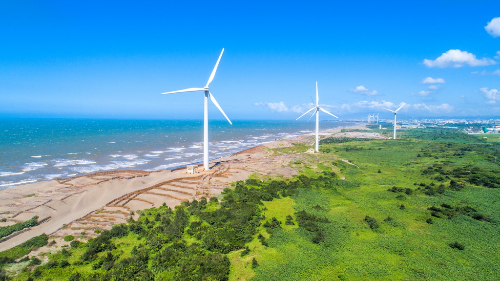 觀音草漯沙丘的美麗秘境｜親子旅遊的理想選擇