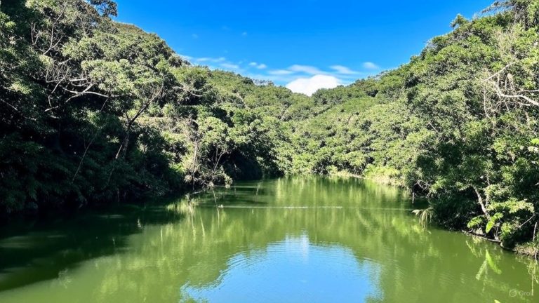 內湖景點探索：讓你愛上碧山巖、甜水鴛鴦湖與更多美麗景點