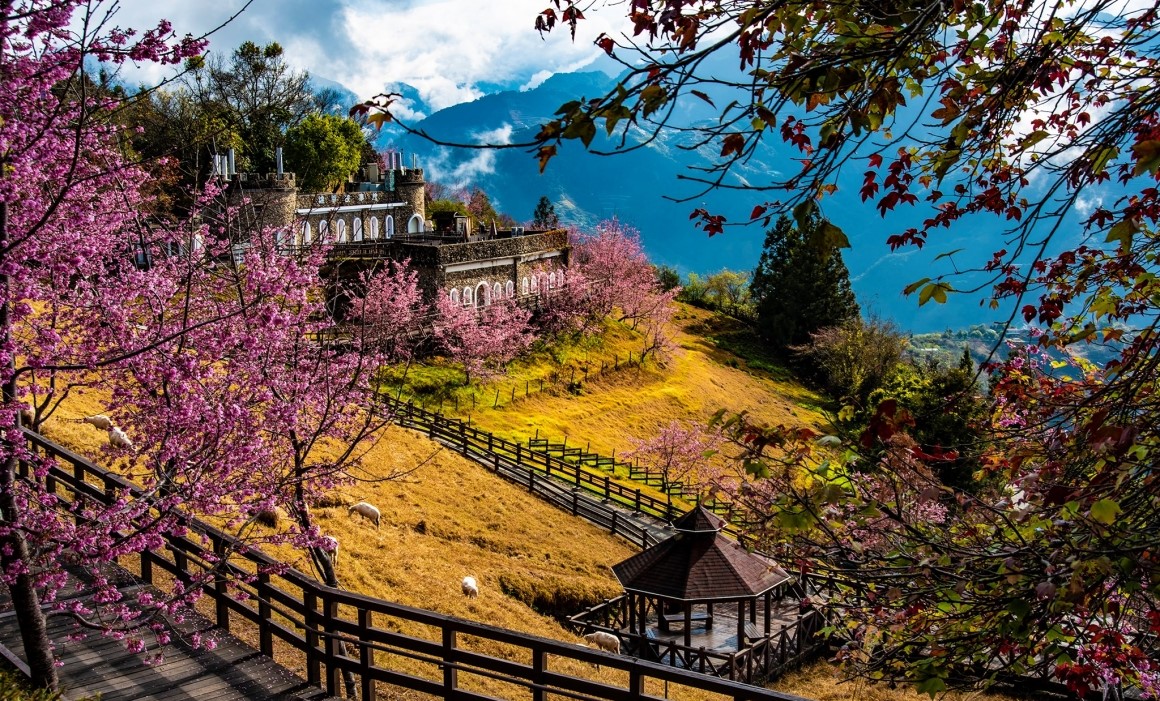 探索清境農場的青青草原｜最佳旅遊指南