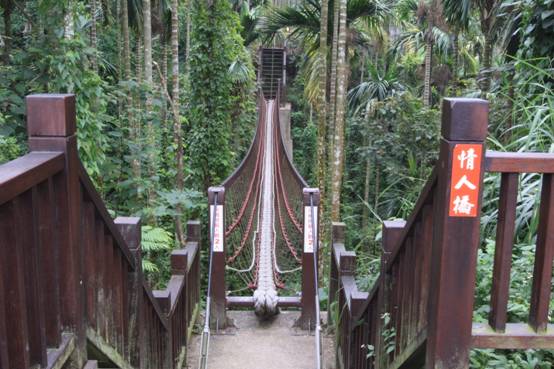 古坑旅遊：探索華山景點的五大必訪地