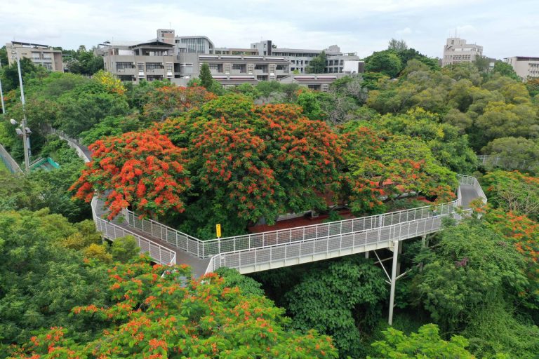 彰化景點推薦：探索八卦山、南天宮地獄與更多特色景點
