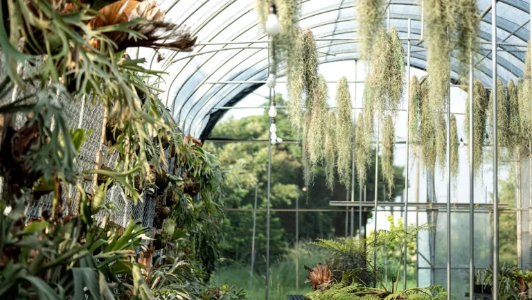 植物魔法：探索台灣五大絕美植物景點