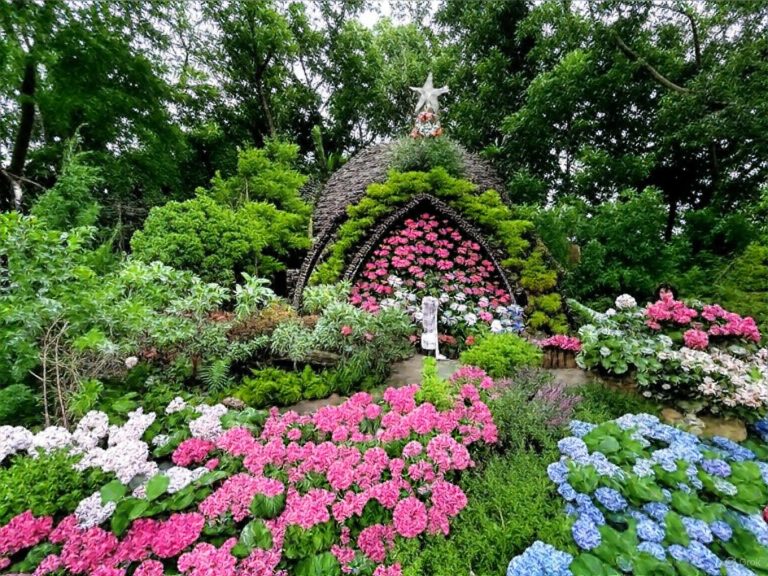 花露農場的繡球花季：攻略、必吃美食與家庭游玩景點
